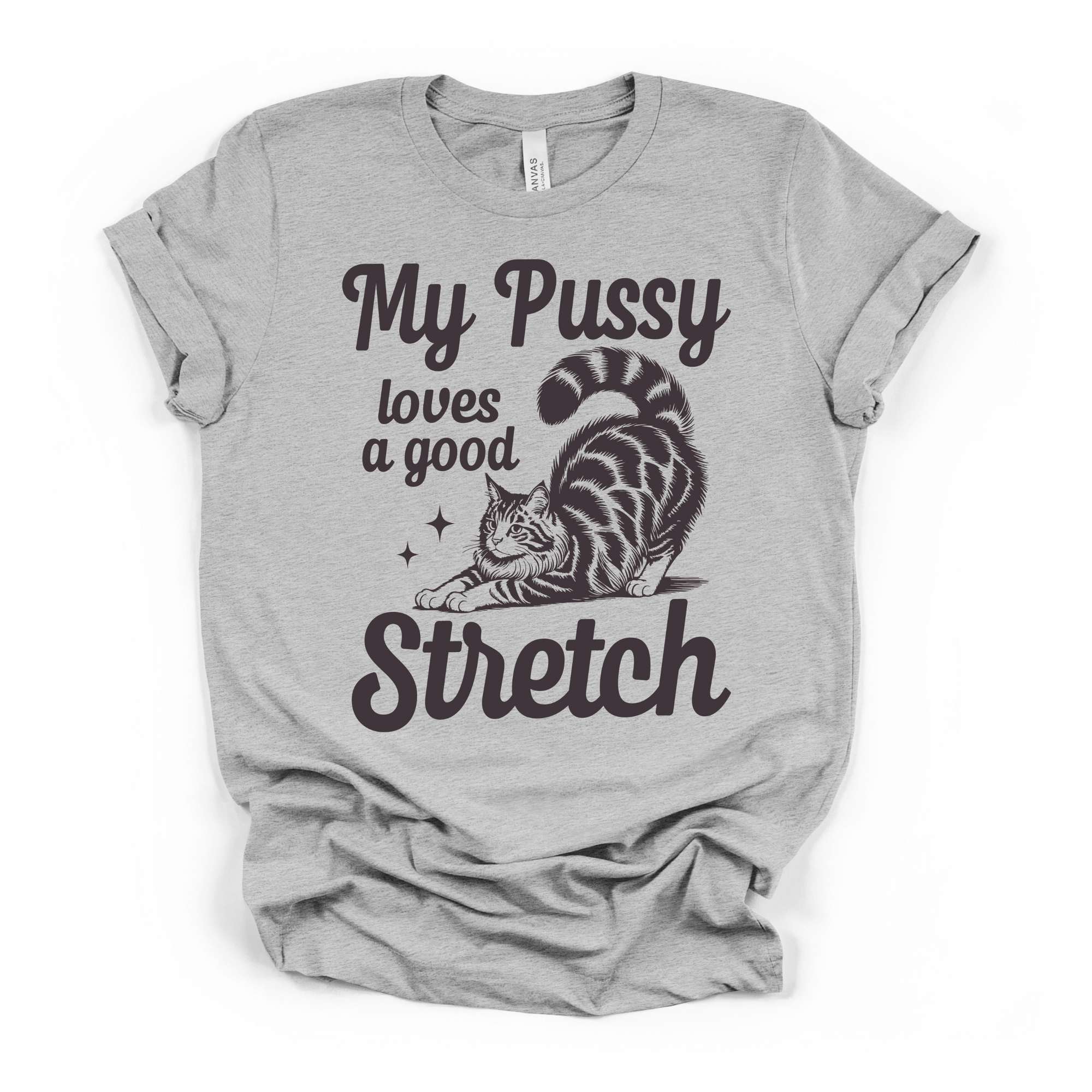 My Pu**y Loves A Good Stretch Women's Humor T Shirt