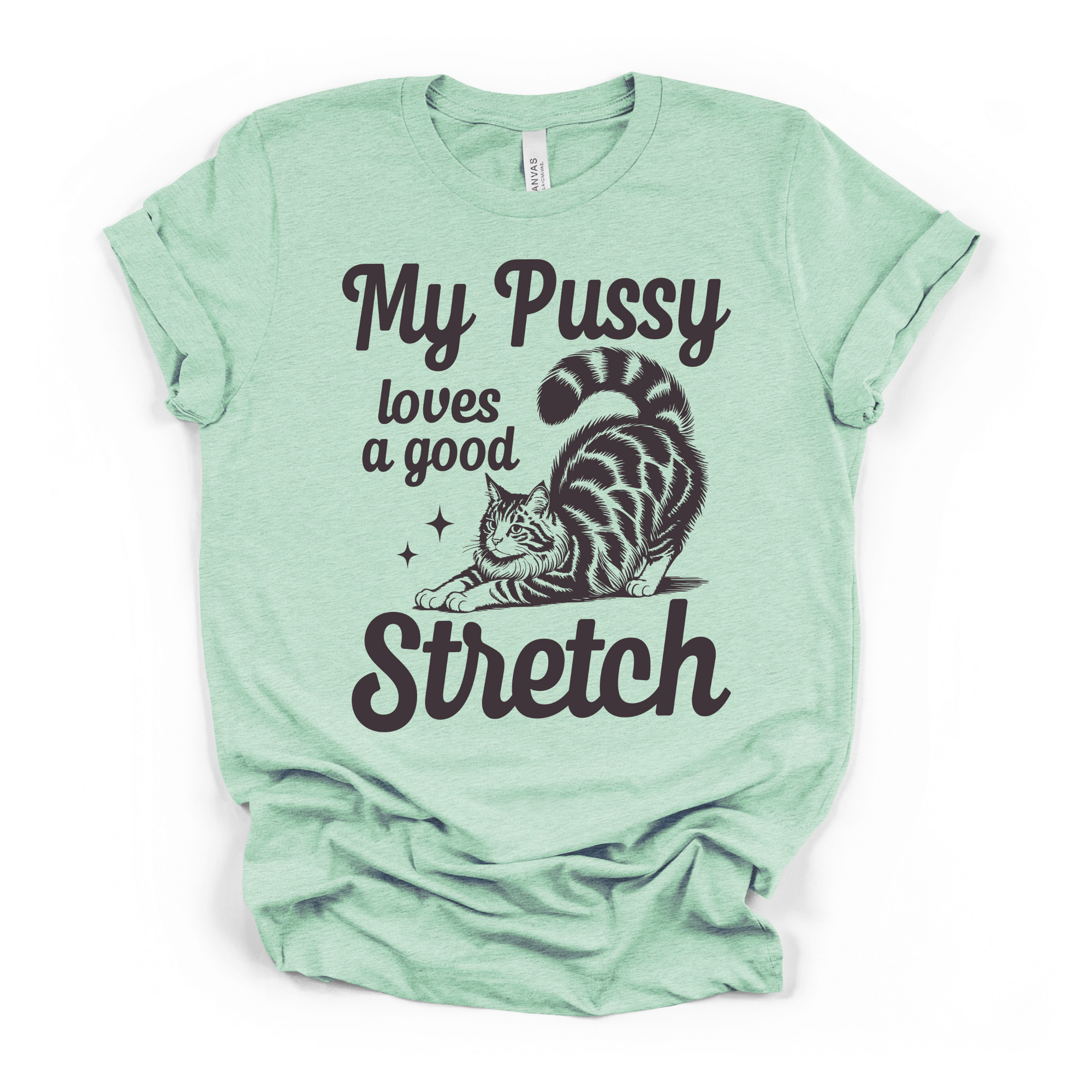 My Pu**y Loves A Good Stretch Women's Humor T Shirt