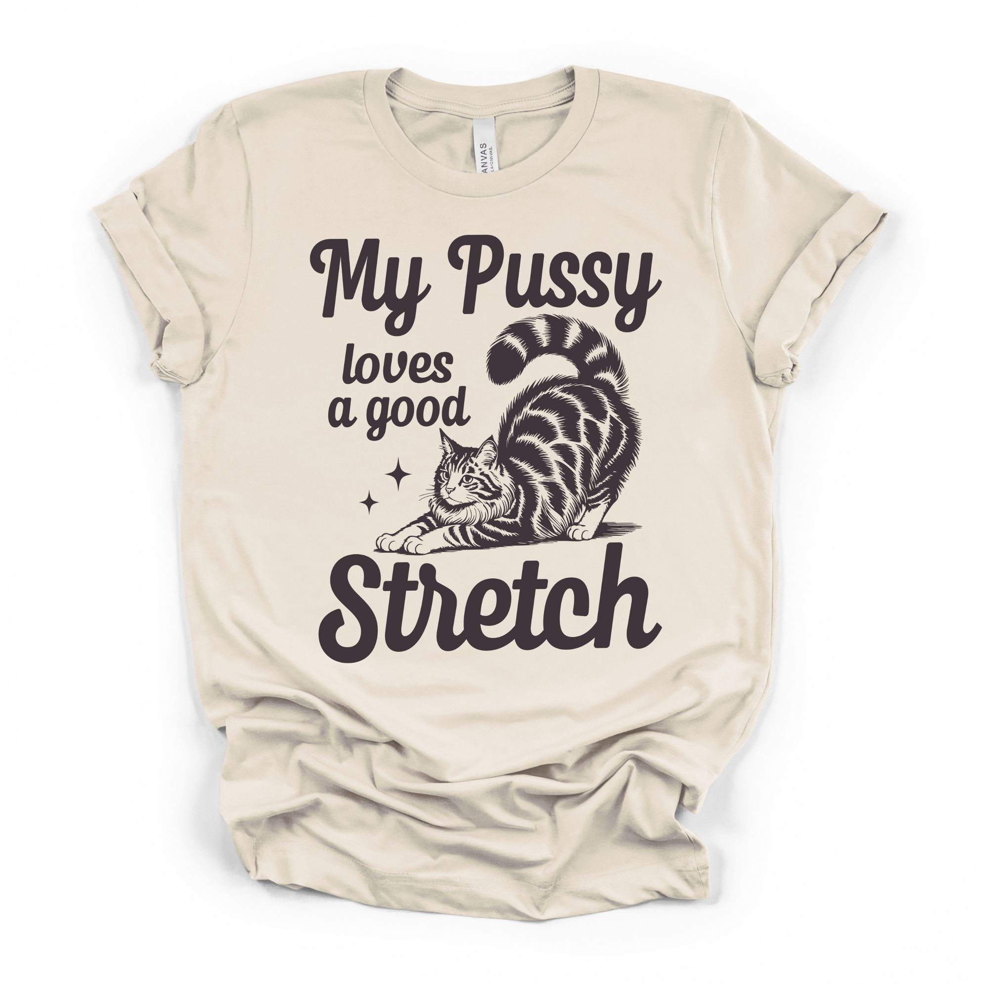 My Pu**y Loves A Good Stretch Women's Humor T Shirt